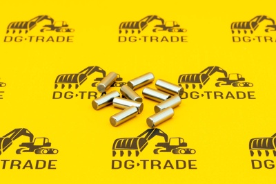 Иголки подшипников Carraro 028390 (1)